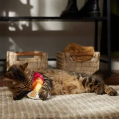 Frisco Fall Campfire Plush Cat Toy With Catnip -Furry Friends 344178 PT3. AC SS1800 V1659023182