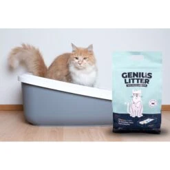 Alpha Paw Genius Litter With Health Indicator Cat Litter, 6-lbs -Furry Friends 344555 PT3. AC SS1800 V1667332411
