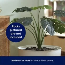 Frisco Hidden Planter Cat Litter Box, 16-in -Furry Friends 345566 PT4. AC SS1800 V1668737273