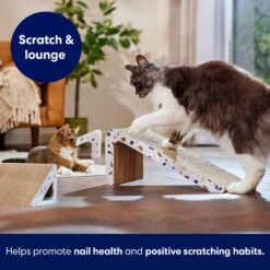 Frisco Nesting Cat Scratcher Toy With Catnip, Modern Terrazzo 8 Frisco Nesting Cat Scratcher Toy With Catnip, Modern Terrazzo -Furry Friends 347213 PT3. AC SS1800 V1659699272