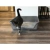 Shirley K's Senior Cat Litter Box, X-Large -Furry Friends 347408 MAIN. AC SS1800 V1642013797