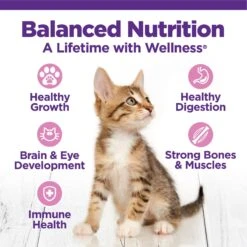 Wellness Complete Health Kitten Deboned Chicken, Chicken Meal & Rice Dry Cat Food, 5-lb Bag -Furry Friends 347667 PT3. AC SS1800 V1638466048