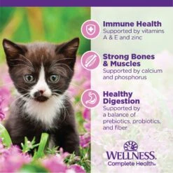 Wellness Complete Health Kitten Deboned Chicken, Chicken Meal & Rice Dry Cat Food, 5-lb Bag -Furry Friends 347667 PT4. AC SS1800 V1638468096