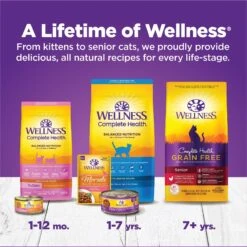 Wellness Complete Health Kitten Deboned Chicken, Chicken Meal & Rice Dry Cat Food, 5-lb Bag -Furry Friends 347667 PT6. AC SS1800 V1638467361