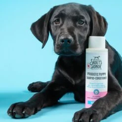 Skout's Honor Happy Puppy Probiotic Cat & Dog Shampoo & Conditioner, 16-oz Bottle -Furry Friends 347803 PT7. AC SS1800 V1658219233