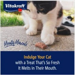 Vitakraft Meaty Morsels Chicken With Pumpkin Recipe Soft Cat Treats, 1.4-oz Pouch, Pack Of 4 -Furry Friends 347888 PT7. AC SS1800 V1666652650