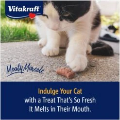 Vitakraft Meaty Morsels Chicken With Salmon Recipe Soft Cat Treats, 1.4-oz Pouch, Pack Of 4 -Furry Friends 347890 PT7. AC SS1800 V1666650757