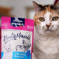 Vitakraft Meaty Morsels Chicken With Salmon Recipe Soft Cat Treats, 1.4-oz Pouch, Pack Of 4 -Furry Friends 347890 PT8. AC SS1800 V1666650212