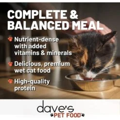 Dave's Pet Food Saucey Pate Chicken & Turkey Recipe Wet Cat Food, 5.5-oz Can, Case Of 24 7 Dave's Pet Food Saucey Pate Chicken & Turkey Recipe Wet Cat Food, 5.5-oz Can, Case Of 24 -Furry Friends 352423 PT2. AC SS1800 V1640271712