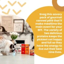 I And Love And You XOXO Chicken & Tuna Pate Grain-Free Canned Cat Food, 3-oz Can, Case Of 24 -Furry Friends 352461 PT2. AC SS1800 V1686941702