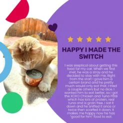 I And Love And You XOXO Chicken & Tuna Pate Grain-Free Canned Cat Food, 3-oz Can, Case Of 24 -Furry Friends 352461 PT3. AC SS1800 V1686941704