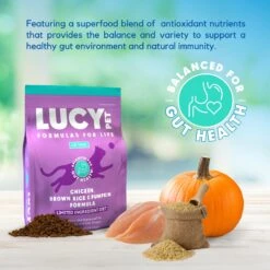 Lucy Pet Products Chicken, Brown Rice & Pumpkin Limited Ingredient Diet Cat Food 11 Lucy Pet Products Chicken, Brown Rice & Pumpkin Limited Ingredient Diet Cat Food -Furry Friends 353161 PT2. AC SS1800 V1641580616