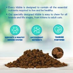 Lucy Pet Products Chicken, Brown Rice & Pumpkin Limited Ingredient Diet Cat Food 12 Lucy Pet Products Chicken, Brown Rice & Pumpkin Limited Ingredient Diet Cat Food -Furry Friends 353161 PT3. AC SS1800 V1641587663