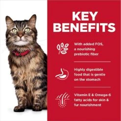 Hill's Science Diet Adult Sensitive Stomach & Sensitive Skin Chicken & Rice Recipe Dry Cat Food & Hill's Science Diet Adult Urinary Hairball Control Savory Chicken Entree Canned Cat Food -Furry Friends 353412 PT4. AC SS1800 V1639535205