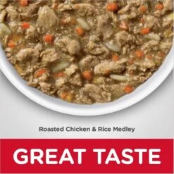 Hill's Science Diet Adult Indoor Chicken Recipe Dry Cat Food & Hill's Science Diet Adult Healthy Cuisine Roasted Chicken & Rice Medley Canned Cat Food -Furry Friends 353419 PT7. AC SS1800 V1639542403