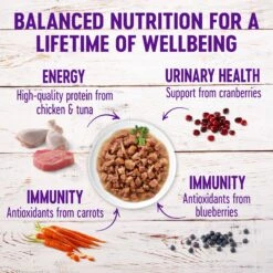 Wellness Healthy Indulgence Gravies Grain-Free Variety Pack Cat Food Pouches & Wellness Kittles Natural Grain-Free Salmon & Cranberries Crunchy Cat Treats -Furry Friends 353444 PT4. AC SS1800 V1639524409