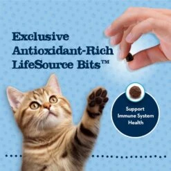 Blue Buffalo Baby Blue Healthy Growth Formula Grain-Free High Protein Chicken & Pea Recipe Kitten Dry Food -Furry Friends 354158 PT6. AC SS1800 V1641338239