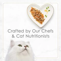 Fancy Feast Gourmet Gravy Petites Tender Beef With Carrots Entree Wet Cat Food -Furry Friends 354294 PT6. AC SS1800 V1647918717