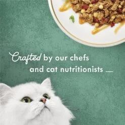 Fancy Feast Medleys In Gravy Beef Ragu Recipe With Tomatoes & Pasta In A Savory Sauce Wet Cat Food, 3-oz Can, Case Of 24 -Furry Friends 354300 PT3. AC SS1800 V1640317328