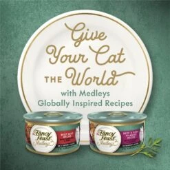 Fancy Feast Medleys In Gravy Beef Ragu Recipe With Tomatoes & Pasta In A Savory Sauce Wet Cat Food, 3-oz Can, Case Of 24 -Furry Friends 354300 PT5. AC SS1800 V1640316717