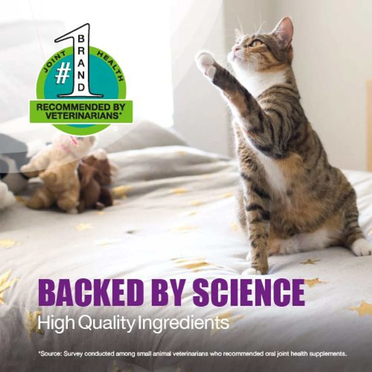 Nutramax Dasuquin Hip & Joint Soft Chews Joint Supplement For Cats 6 Nutramax Dasuquin Hip & Joint Soft Chews Joint Supplement For Cats - Image 4