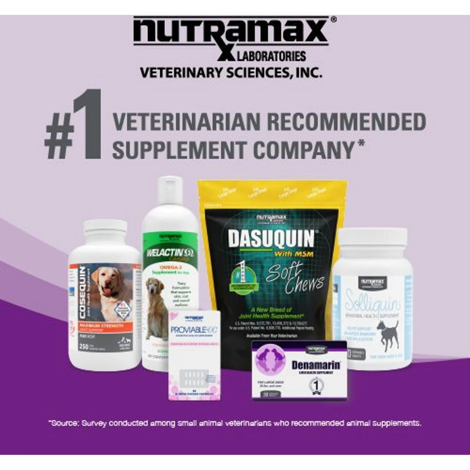 Nutramax Dasuquin Hip & Joint Soft Chews Joint Supplement For Cats 10 Nutramax Dasuquin Hip & Joint Soft Chews Joint Supplement For Cats - Image 8