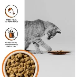 BIXBI RAWBBLE Chicken Recipe Grain-Free Freeze-Dried Cat Food -Furry Friends 355136 PT2. AC SS1800 V1668735699