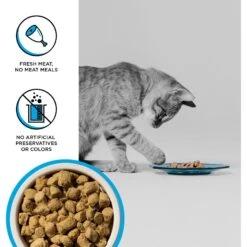 BIXBI RAWBBLE Chicken & Salmon Recipe Grain-Free Freeze-Dried Cat Food -Furry Friends 355142 PT2. AC SS1800 V1668730004