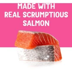 Friskies Pureed Topper Lil Shakes With Scrumptious Salmon Cat Food -Furry Friends 356286 PT4. AC SS1800 V1640288487