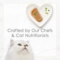 Fancy Feast Gourmet Pate Petites Tender Turkey Entree Wet Cat Food -Furry Friends 358575 PT6. AC SS1800 V1649700420