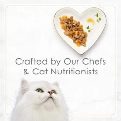 Fancy Feast Gourmet Gravy Petites Turkey & Sweet Potato Entree Wet Cat Food 16 Fancy Feast Gourmet Gravy Petites Turkey & Sweet Potato Entree Wet Cat Food -Furry Friends 358577 PT6. AC SS1800 V1647910619