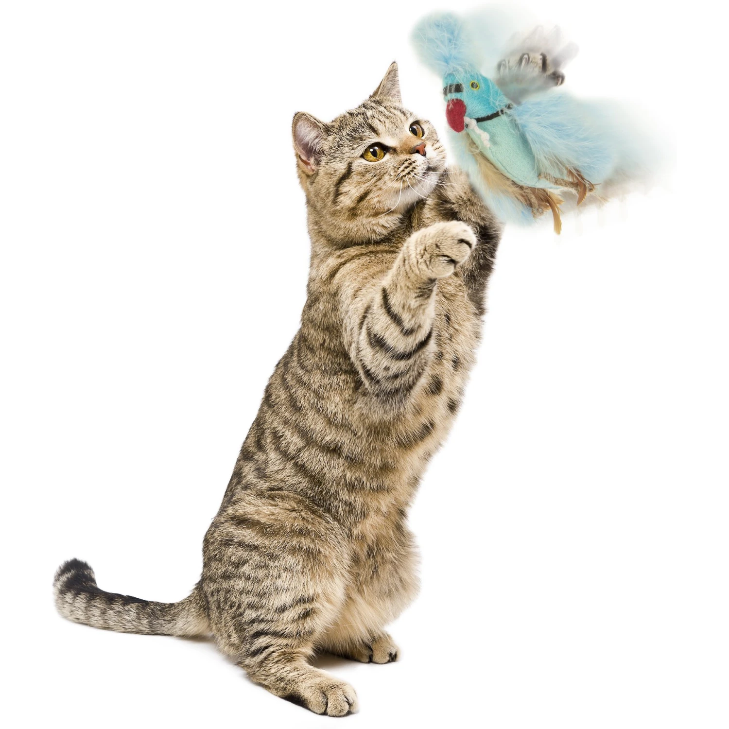 Petlinks Blue Beauty Lush Plush Catnip & Silvervine Bird & Feather Cat Toy, Blue, Small 6 Petlinks Blue Beauty Lush Plush Catnip & Silvervine Bird & Feather Cat Toy, Blue, Small - Image 4