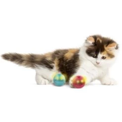 SmartyKat Flicker Balls Electronic Light Ball Cat Toy, Multicolor, Small, 2 Count -Furry Friends 362928 PT3. AC SS1800 V1642646213
