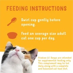 Friskies Lil' Soups Salmon, Tuna, & Shrimp Variety Pack Grain-Free Bits In Broth Wet Lickable Cat Food Topper 17 Friskies Lil' Soups Salmon, Tuna, & Shrimp Variety Pack Grain-Free Bits In Broth Wet Lickable Cat Food Topper -Furry Friends 363333 PT6. AC SS1800 V1700162077
