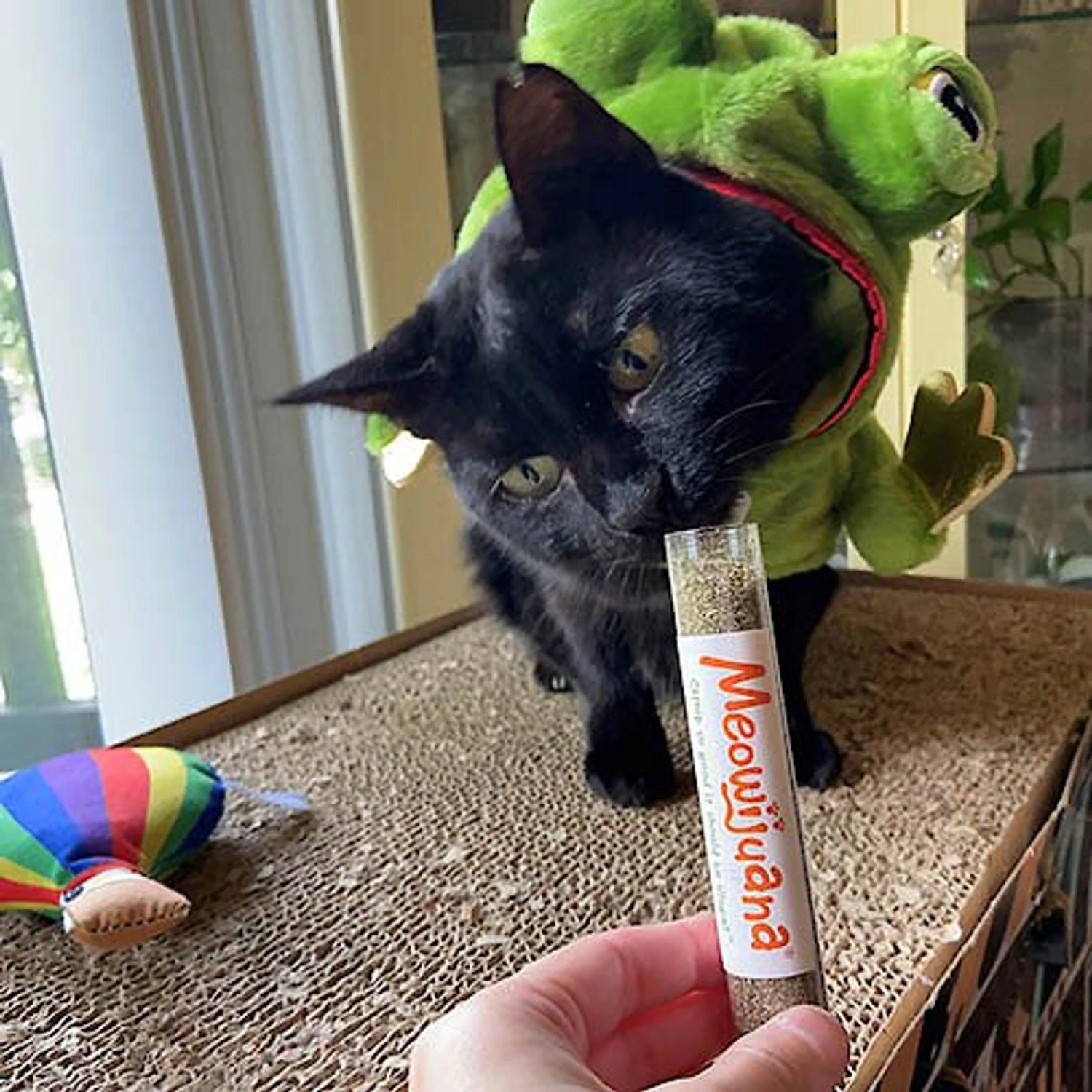 Meowijuana Get A Rise Balloon Refillable Plush Cat Toy With Catnip 5 Meowijuana Get A Rise Balloon Refillable Plush Cat Toy With Catnip - Image 3