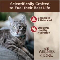 Wellness Tiny Tasters Chicken & Beef Grain-Free Minced Wet Cat Food, 1.75-oz Pouch, Case Of 12 14 Wellness Tiny Tasters Chicken & Beef Grain-Free Minced Wet Cat Food, 1.75-oz Pouch, Case Of 12 -Furry Friends 363907 PT3. AC SS1800 V1695845855