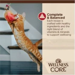 Wellness Tiny Tasters Chicken & Beef Grain-Free Minced Wet Cat Food, 1.75-oz Pouch, Case Of 12 17 Wellness Tiny Tasters Chicken & Beef Grain-Free Minced Wet Cat Food, 1.75-oz Pouch, Case Of 12 -Furry Friends 363907 PT6. AC SS1800 V1695832229