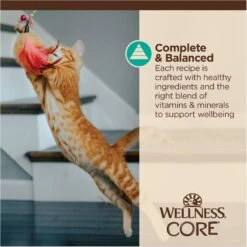Wellness Tiny Tasters Tuna & Salmon Grain-Free Flaked Wet Cat Food, 1.75-oz Pouch, Case Of 12 -Furry Friends 363909 PT6. AC SS1800 V1695845856