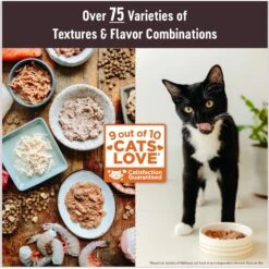 Wellness CORE Tiny Tasters Kitten Chicken Grain-Free Minced Wet Cat Food, 1.75-oz Pouch, Case Of 12 -Furry Friends 363913 PT1. AC SS1800 V1695931920