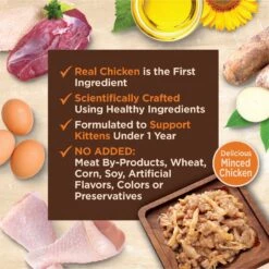 Wellness CORE Tiny Tasters Kitten Chicken Grain-Free Minced Wet Cat Food, 1.75-oz Pouch, Case Of 12 -Furry Friends 363913 PT3. AC SS1800 V1695841334
