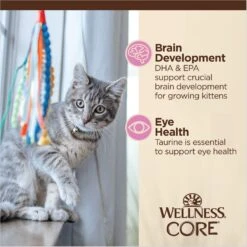 Wellness CORE Tiny Tasters Kitten Chicken Grain-Free Minced Wet Cat Food, 1.75-oz Pouch, Case Of 12 -Furry Friends 363913 PT5. AC SS1800 V1695832229