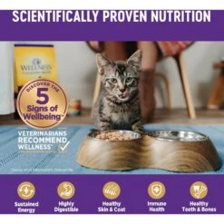 Wellness Complete Health Age Advantage Chicken Pate Wet Cat Food -Furry Friends 363921 PT4. AC SS1800 V1643225243