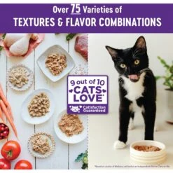 Wellness Complete Health Age Advantage Chicken Pate Wet Cat Food -Furry Friends 363921 PT6. AC SS1800 V1643252250