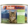 Feline Natural Chicken & Lamb Feast Grain-Free Canned Cat Food 2 Feline Natural Chicken & Lamb Feast Grain-Free Canned Cat Food -Furry Friends 363938 MAIN. AC SS1800 V1643674627