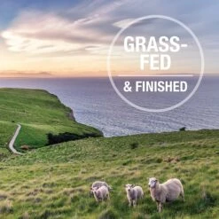 Feline Natural Chicken & Lamb Feast Grain-Free Canned Cat Food -Furry Friends 363938 PT1. AC SS1800 V1643674904