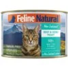 Feline Natural Beef & Hoki Feast Grain-Free Canned Cat Food -Furry Friends 363946 MAIN. AC SS1800 V1643680634