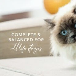 Feline Natural Beef & Hoki Feast Grain-Free Canned Cat Food -Furry Friends 363946 PT3. AC SS1800 V1643676429