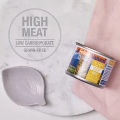 Feline Natural Lamb & King Salmon Feast Grain-Free Canned Cat Food -Furry Friends 363947 PT6. AC SS1800 V1643671907