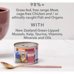 Feline Natural Beef Feast Grain-Free Canned Cat Food -Furry Friends 363948 PT2. AC SS1800 V1643676116