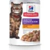 Hill's Science Diet Adult Sensitive Stomach & Sensitive Skin Chicken & Beef Canned Cat Food, 2.8-oz Pouch, Case Of 24 -Furry Friends 364089 MAIN. AC SS1800 V1643906824